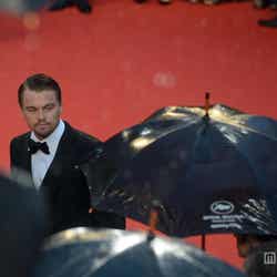 レッドカーペットに登場した俳優のレオナルド・ディカプリオ/(C)2013 Warner Bros. Entertainment Inc. All rights reserved