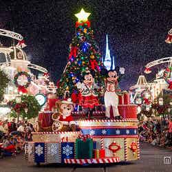 米ディズニー、美しすぎる“輝き”の世界にうっとり　クリスマスムード満点のパーク（C）Disney【モデルプレス】