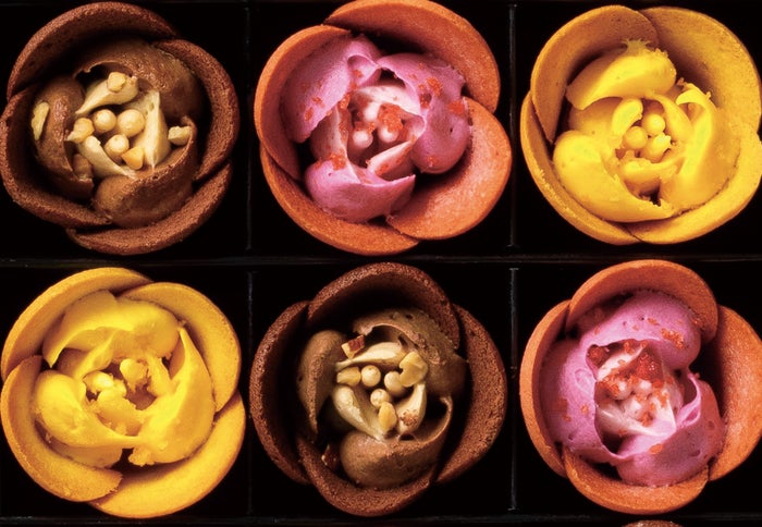 チューリップローズ／画像提供：株式会社グレープストーン