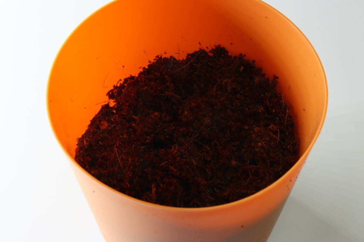 栽培セット 栽培セット