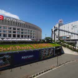 チームラボフォレスト/画像提供:チームラボ