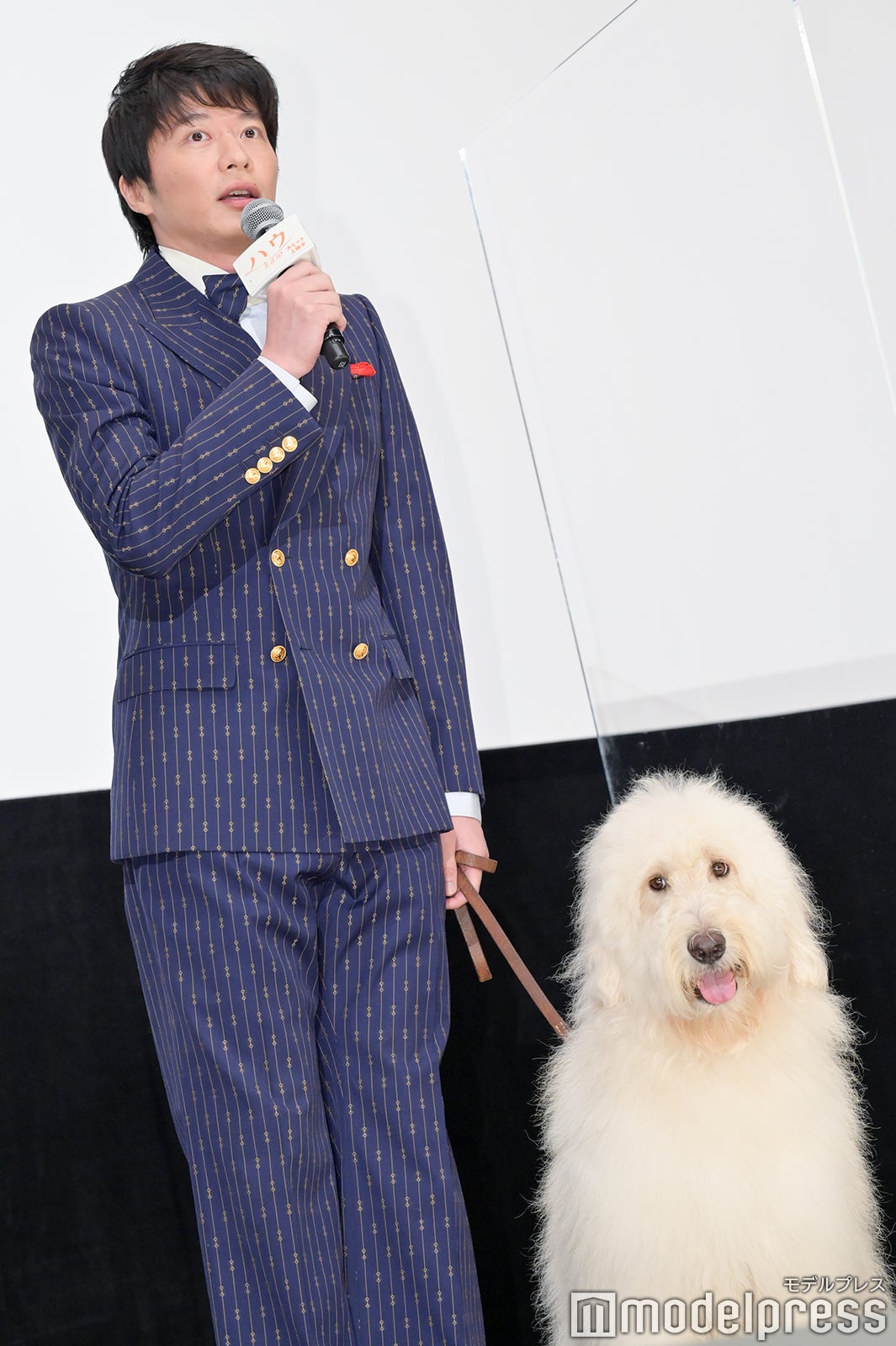 田中圭、ベック（C）モデルプレス