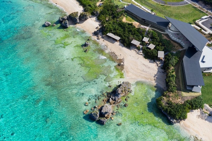 沖縄に絶景海カフェ 星野リゾート バンタカフェ 崖の上からコバルトブルーの海を一望 女子旅プレス