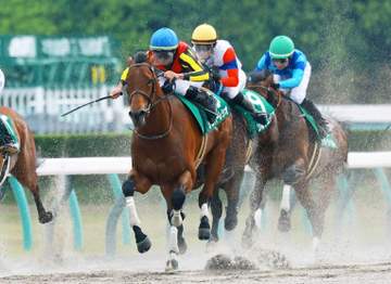 【ユニコーンS】シルバーレシオ 直線一気に首差勝利 岩田望が惚れ込む素材「大きいところを狙える」 野中師は東京ダービーに意欲「せっかくの権利だから」