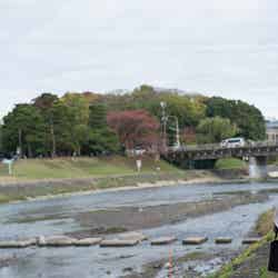 松雪泰子主演「古都」の舞台・京都のロケ地10選 嵐山に鴨川…お馴染みの観光名所も