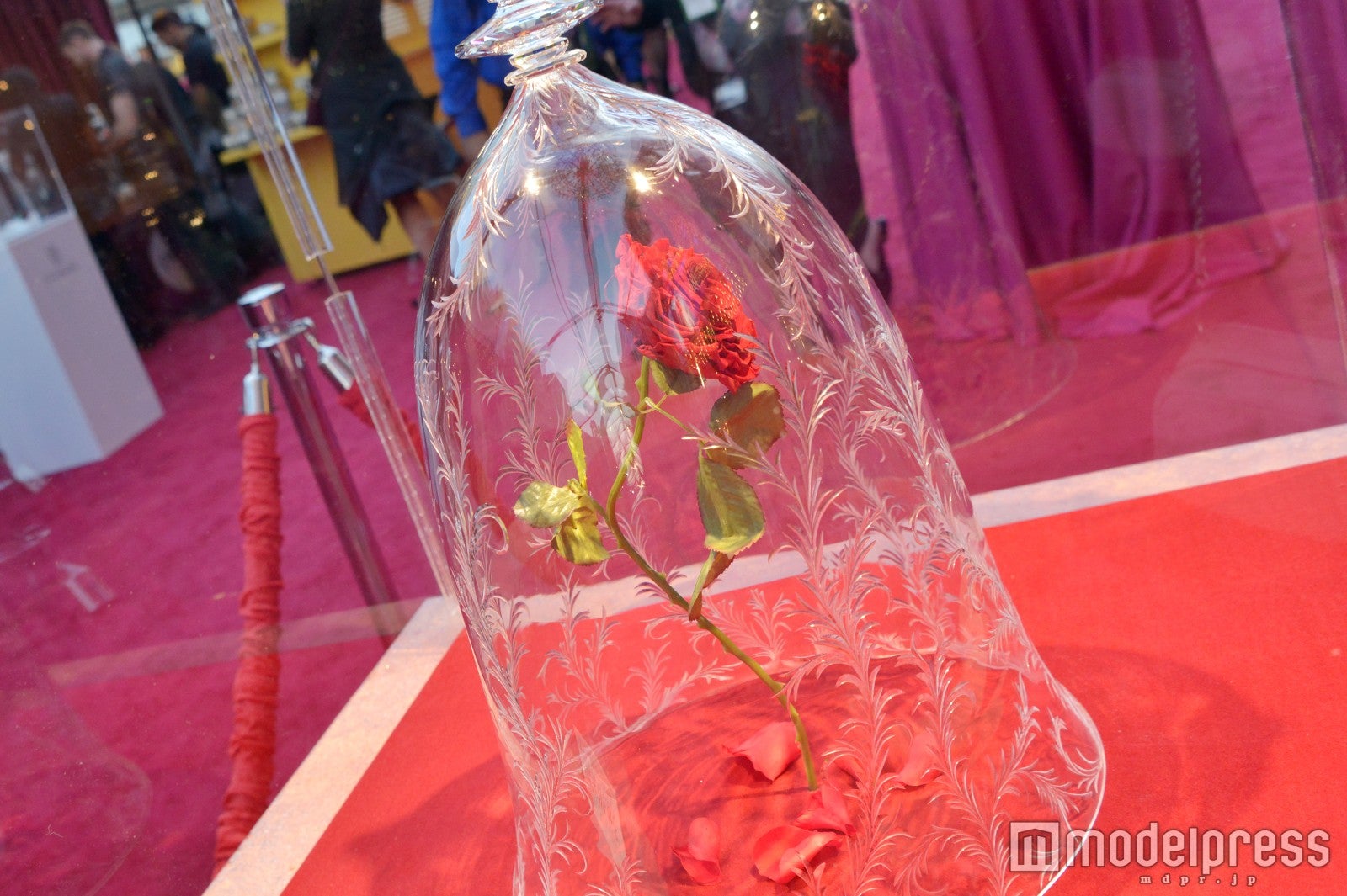 会場の様子（C）モデルプレス