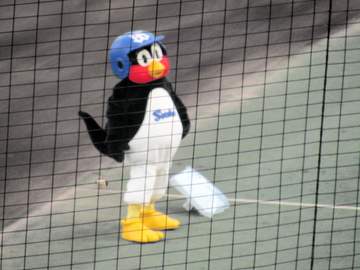 ヤクルト つば九郎が2年ぶりに松山登場 緑色に染まったスタンドから大きな拍手と歓声