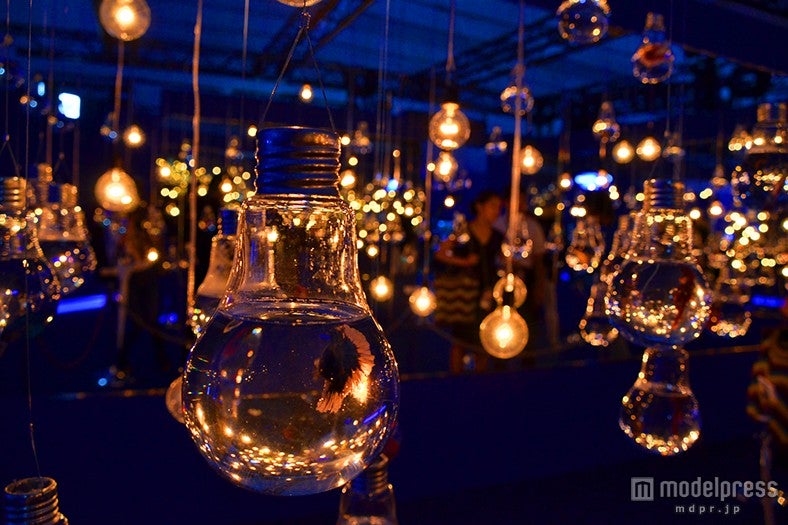 「DREAM AQUARIUM」