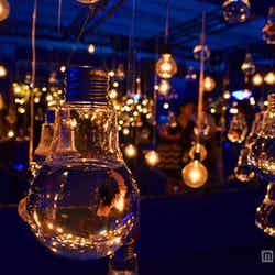 「DREAM AQUARIUM」