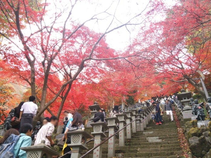 大山寺（大山不動尊）の紅葉のトンネル（2015年11月21日撮影）