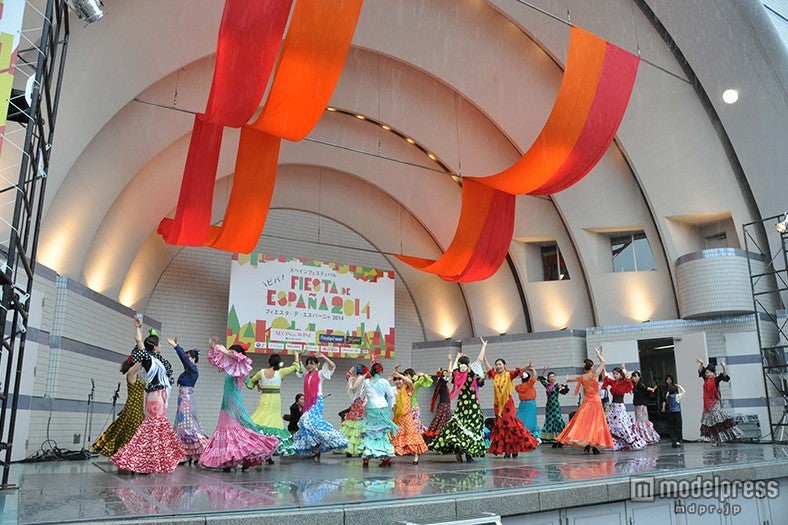 フラメンコ／画像提供：フィエスタ・デ・エスパーニャ2015実行委員会