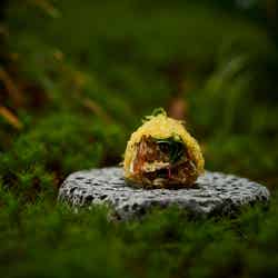 デュシタニ京都/画像提供:デュシットインターナショナル