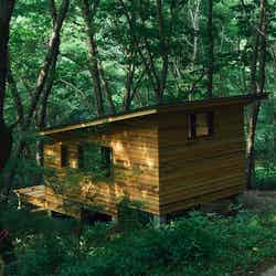 イスト/画像提供:Backpackers’ Japan