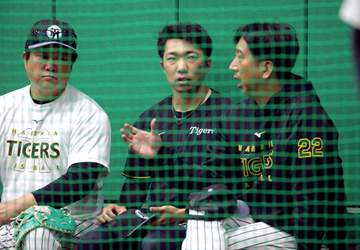 阪神・石井 先発転向へ調整変更「肺の機能だったり乳酸（対策）必要」2月アキレス腱断裂「違和感があるかと言われたら当然ある」