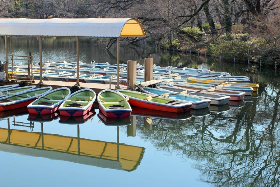 井の頭恩賜公園