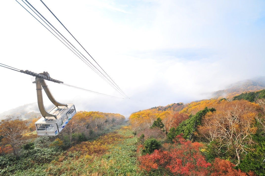 ソラグランピングリゾート／画像提供：日本スキー場開発