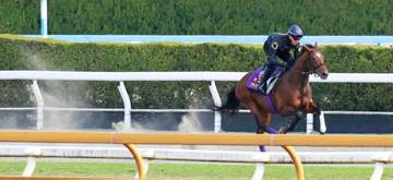 【マイラーズC】アドマイヤズーム 再起へ鋭伸 友道師「2歳時のいい頃に戻ってます」 得意の淀で本領発揮だ