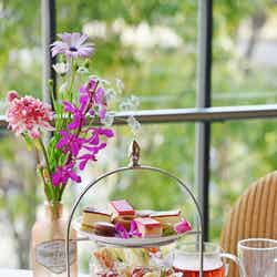 アフタヌーンティーセット税込2,900円。ドリンク追加2ポット+1,000円/提供画像