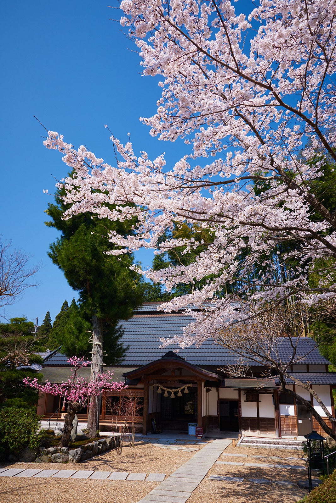 正寿院／画像提供：正寿院