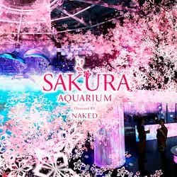 SAKURA AQUARIUM Directed by NAKED/画像提供:横浜八景島