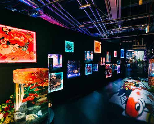 沖縄にアート×金魚のアクアリウム「沖縄金魚ミュージアム」1000匹の金魚が舞い泳ぐ6つのゾーン