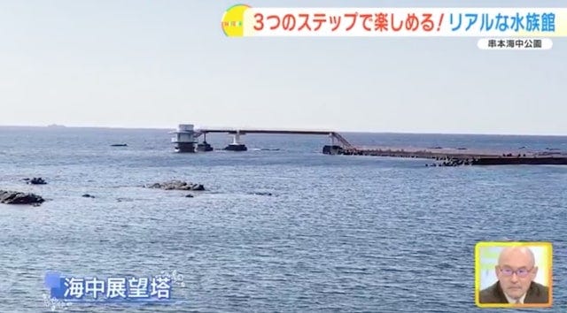 【和歌山】距離、ちかっ！大人も子どもも楽しめる「リアルな水族館」