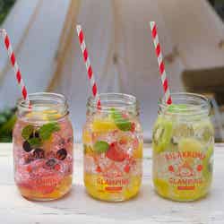 ハニーソーダ(ブルーベリー&レモン、ストロベリー&オレンジ、キウィ&パイナップル)/提供画像