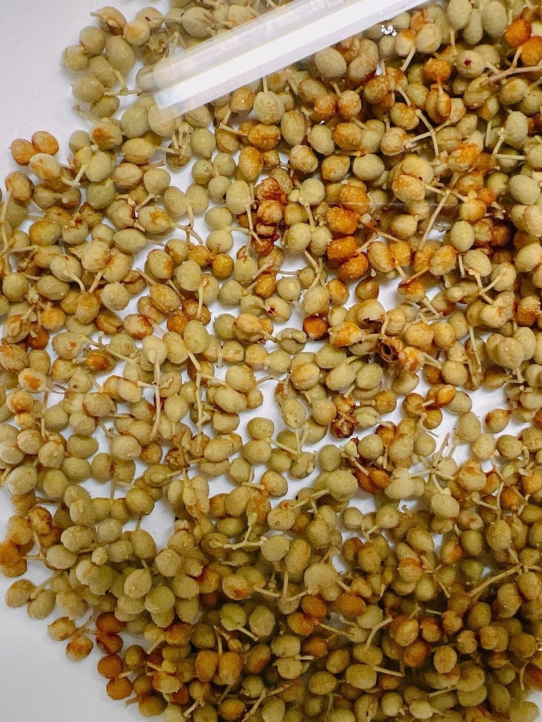 渡辺美奈代公式ブログより