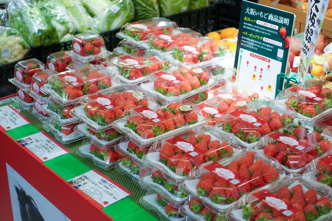 【期間限定】あべのハルカスで大阪いちご「はるかすまいる」の朝採り販売がスタート！