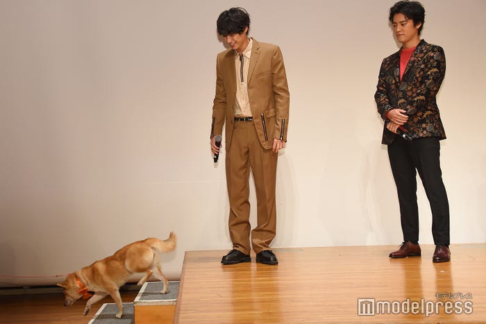 シロの退場を見送る福士蒼汰 (C)モデルプレス