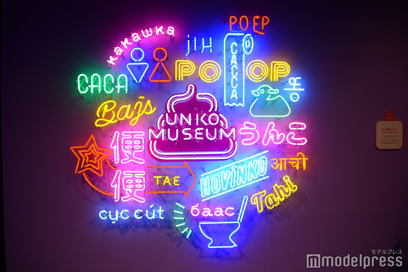 ALE-BOX（C）モデルプレス