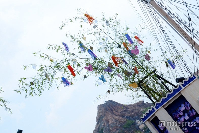 ウィッシングプレイス（TDS）