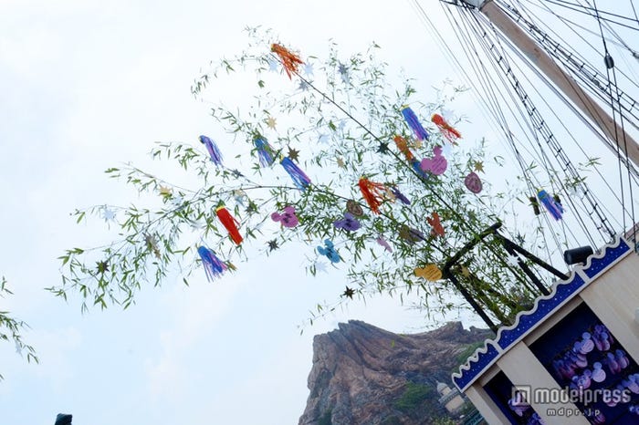 ウィッシングプレイス(TDS)