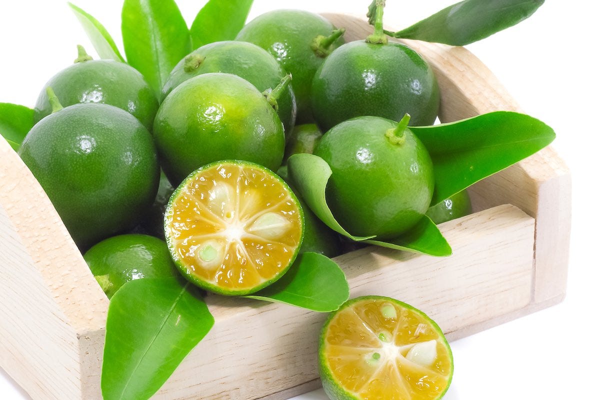 画像: