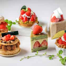ストロベリー デザートブッフェ/提供素材