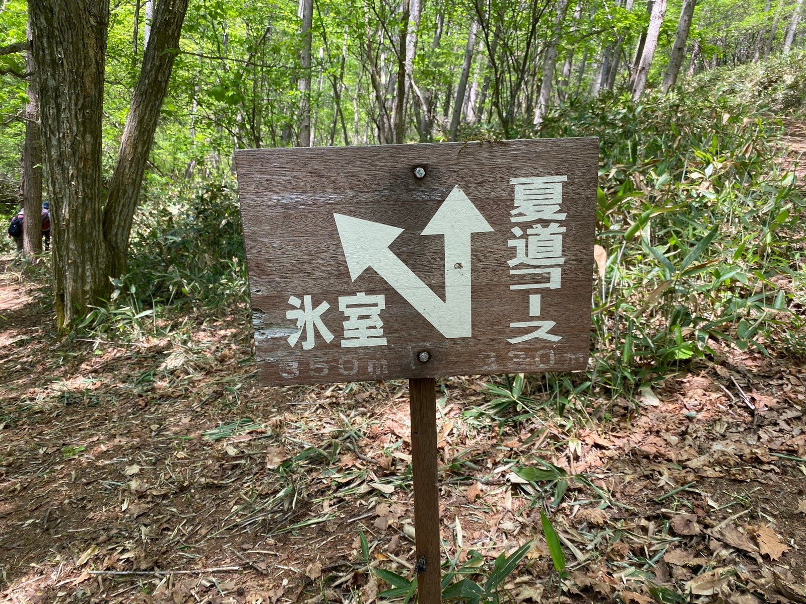 ハイキング（C）草津温泉観光協会