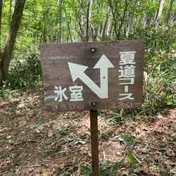 ハイキング(C)草津温泉観光協会