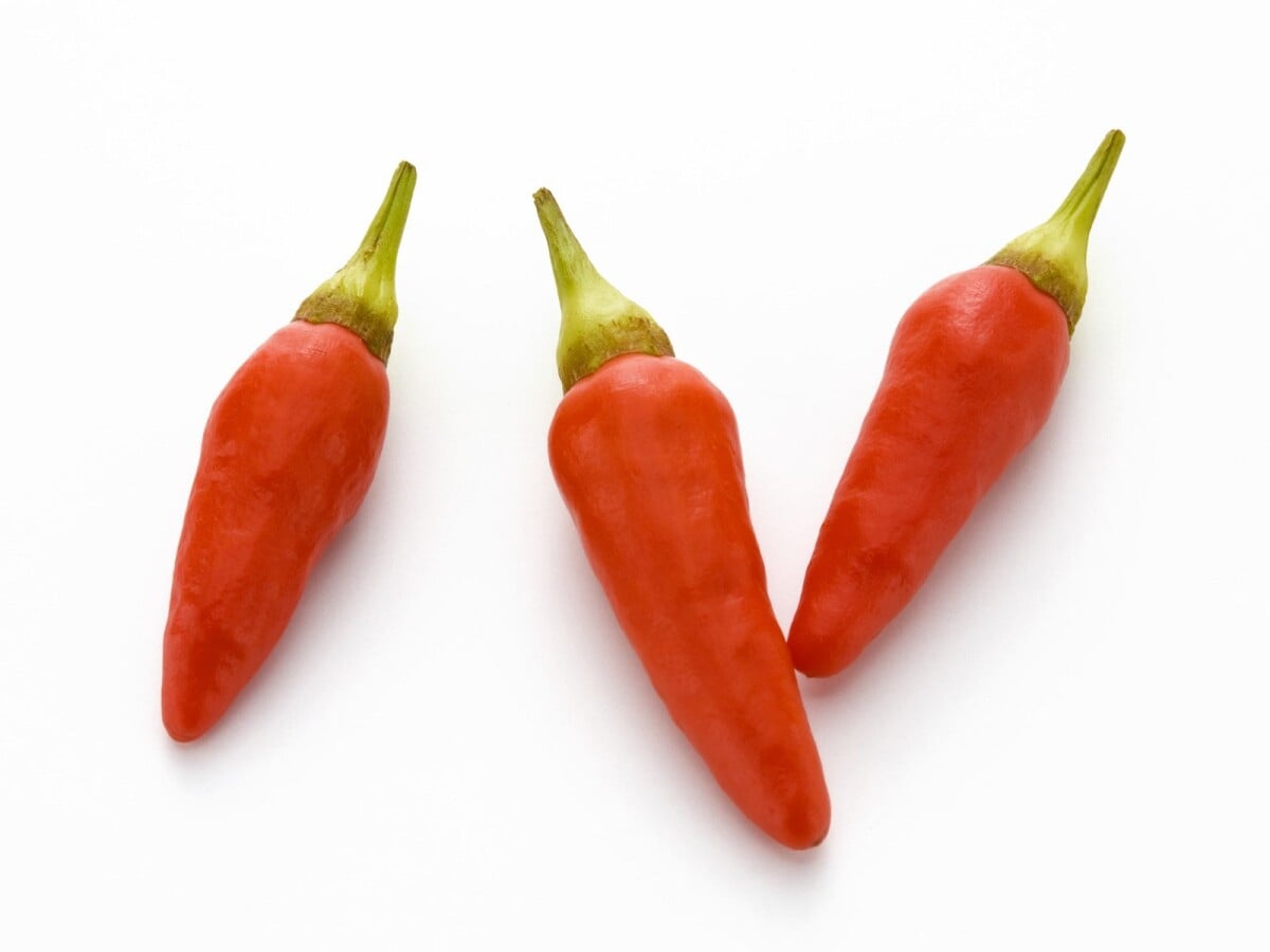 唐辛子は、高麗から薩摩を経て沖縄に伝来した