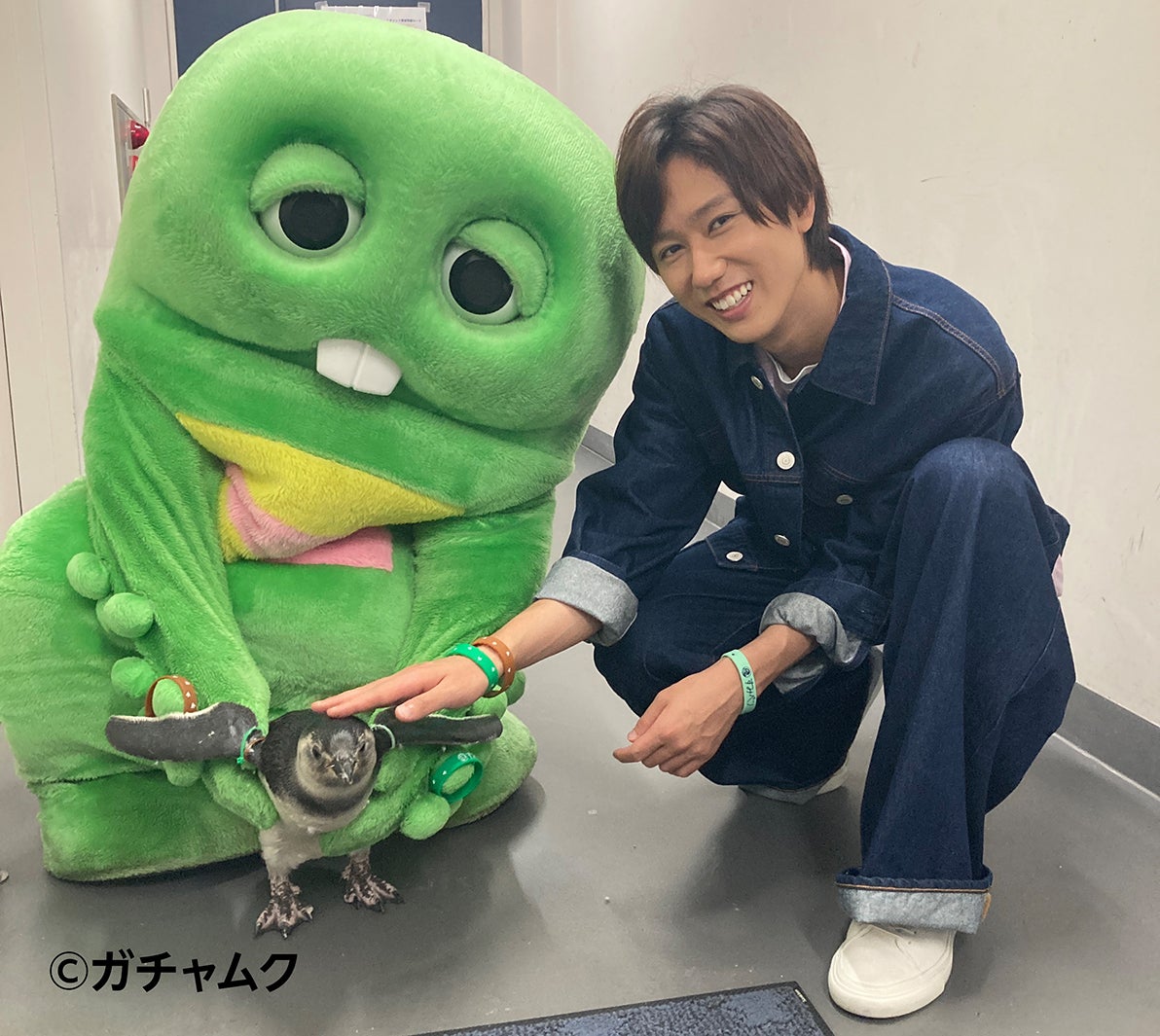 Snow Man阿部亮平「重要な役割も担っている」水族館に現場取材