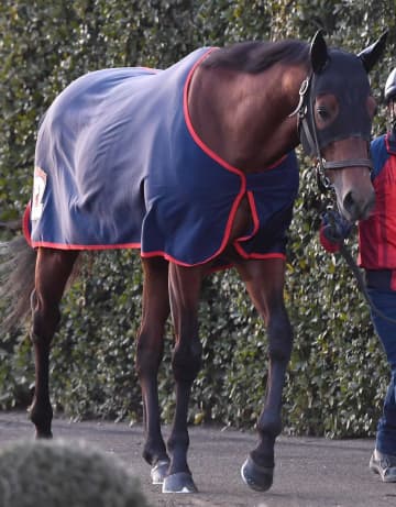 コスタノヴァがゴドルフィンM辞退でかしわ記念へ ビダーヤも中東情勢に応じて出走取りやめ