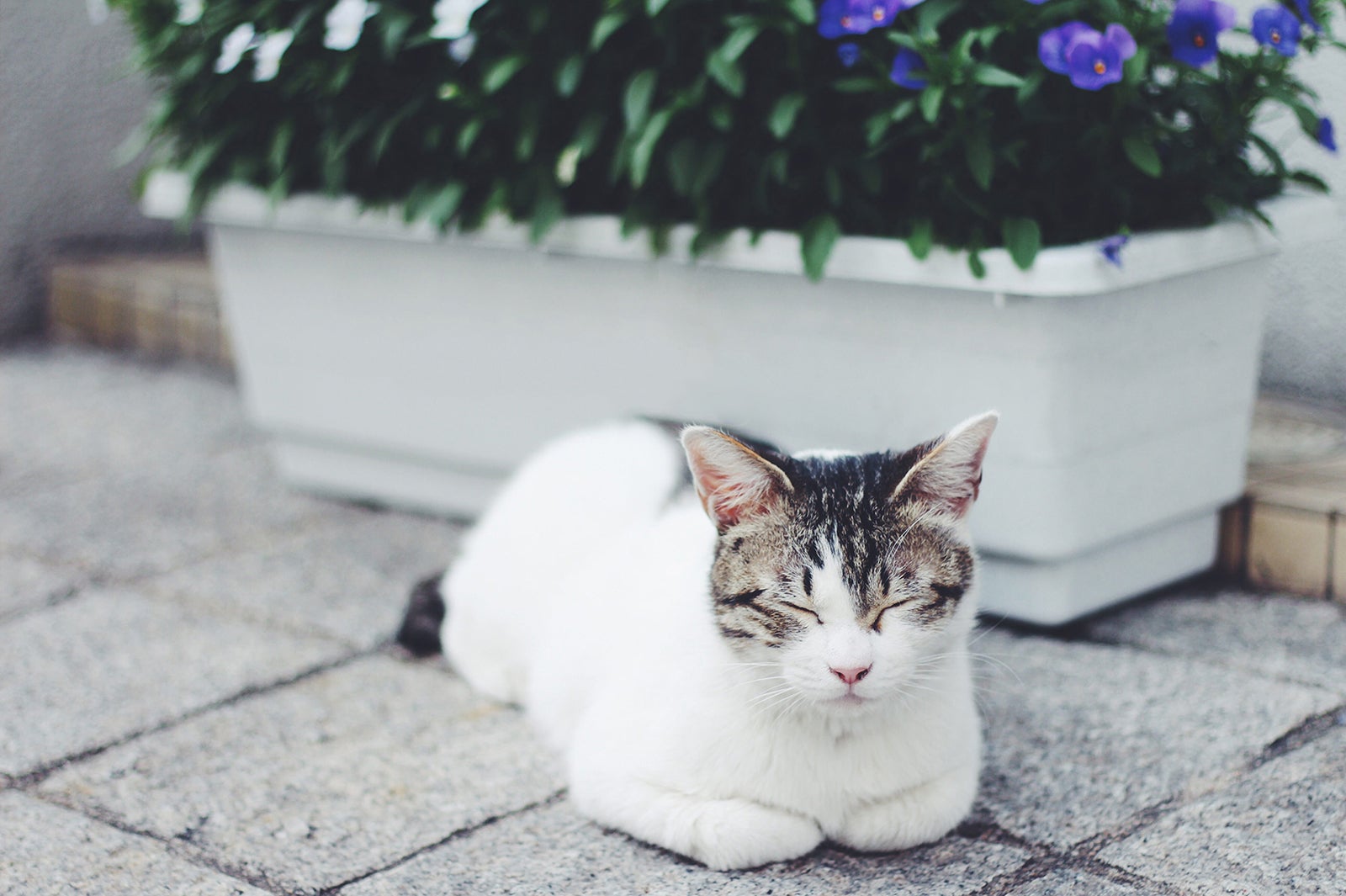 気分屋で連絡を返さないことも／Photo by GIRLY DROP