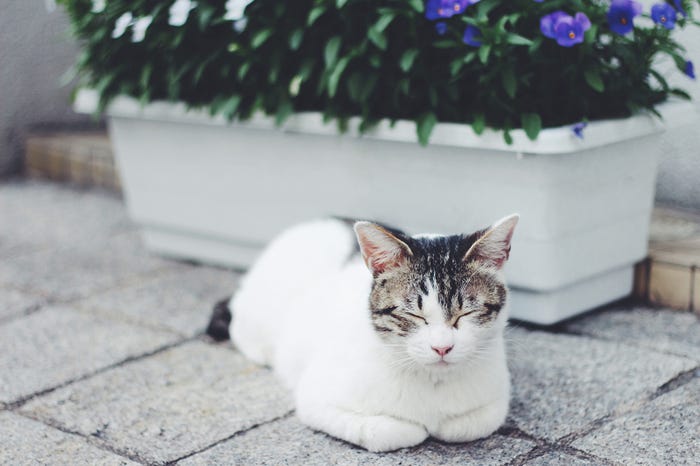気分屋で連絡を返さないことも/Photo by GIRLY DROP
