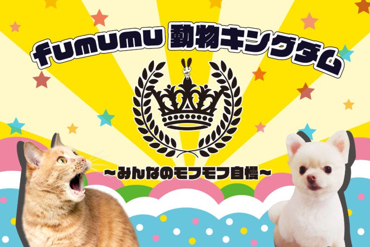 『fumumu動物キングダム～みんなのモフモフ自慢～』キャッチ