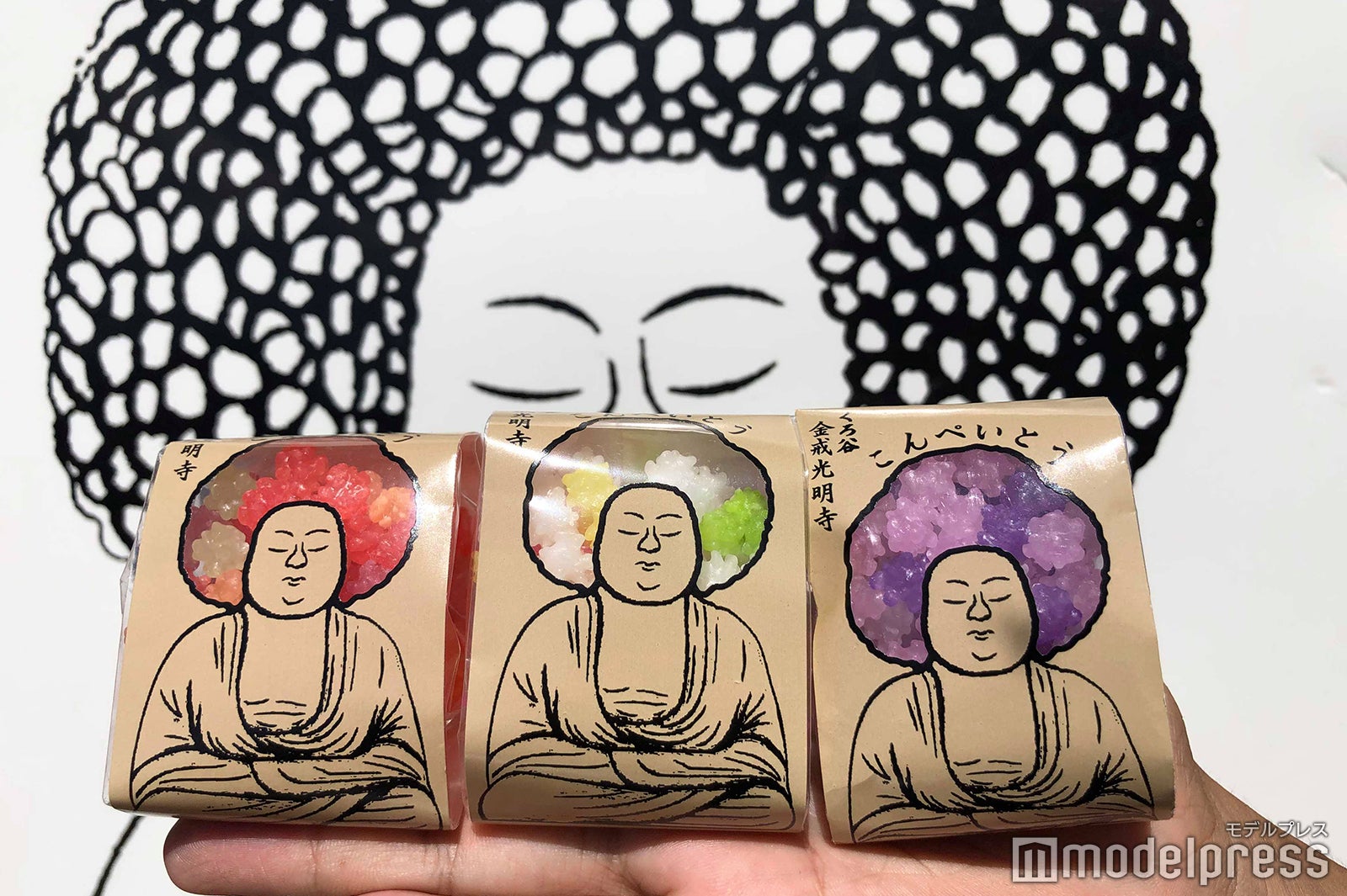 金戒光明寺（C）モデルプレス