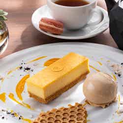 ピエール・エルメ・パリ ニューヨークチーズケーキ(提供画像)