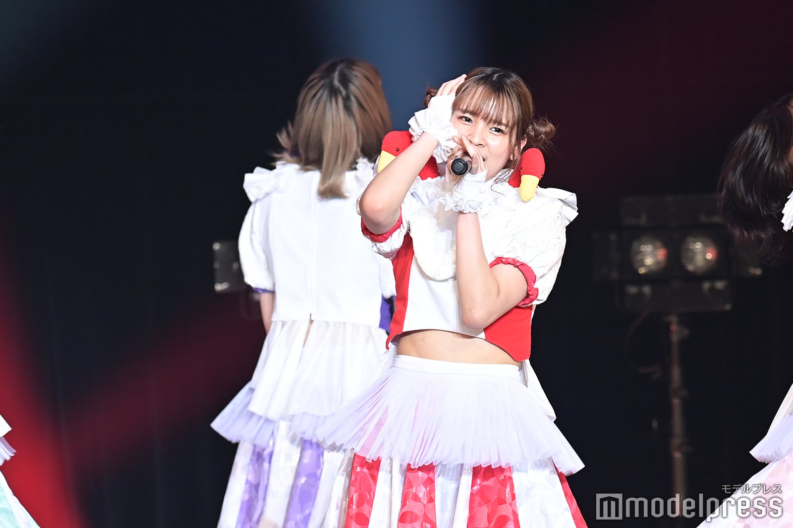 豆柴の大群（C）モデルプレス