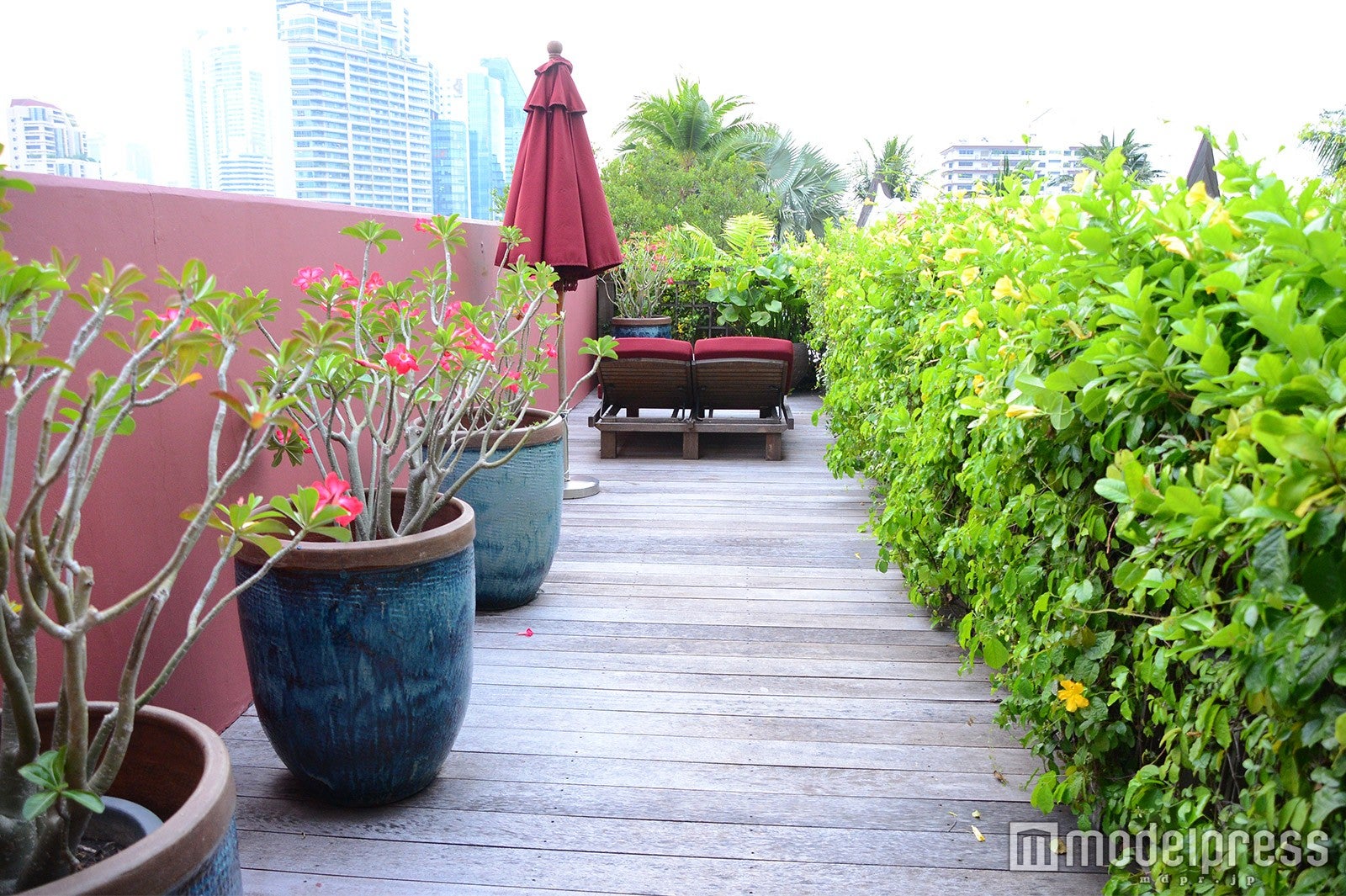 テーマスイート（C）モデルプレス