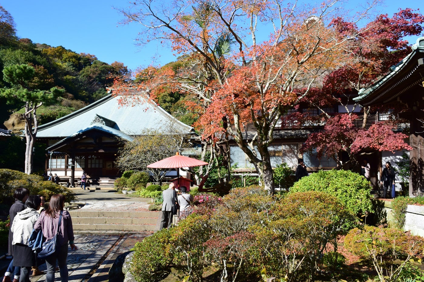 海蔵寺境内の紅葉