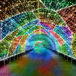 よみうりランド ジュエルミネーション/提供画像