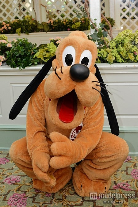 「エンチャンテッド・ガーデン・レストラン」